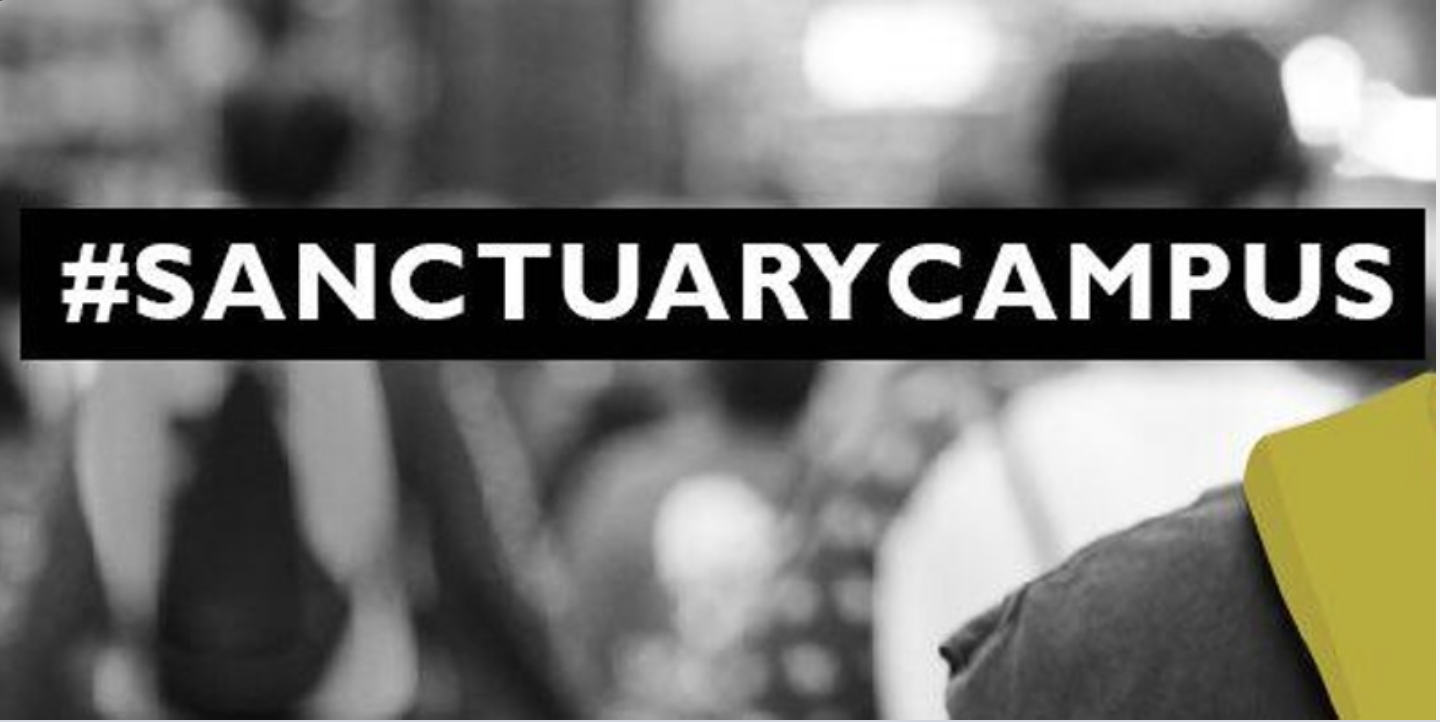 Sanctuary: Social, Legal, and Historical Perspectives on an Activist Category